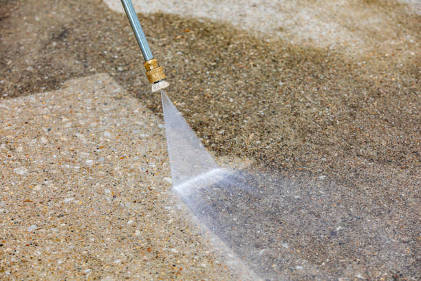 Best Sidewalk and Walkway Cleaning  in Lacoste, TX