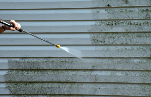 Best Roof Washing  in Lacoste, TX